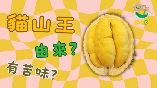 貓山王的由來?為什麼有苦味?是不是變壞了?