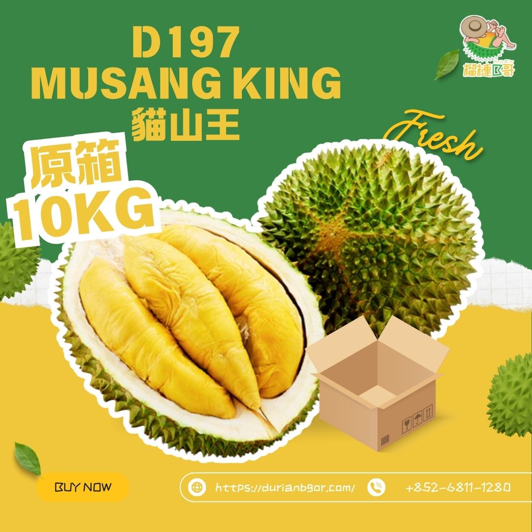 榴槤B哥-馬來西亞直送新鮮原箱D197貓山王 10 KG (需提前一至兩天預訂 )