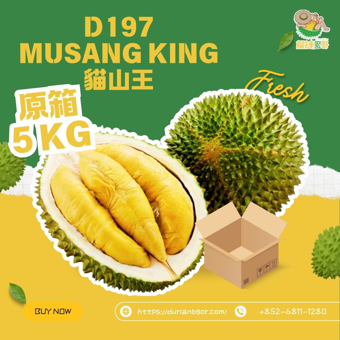 榴槤B哥-馬來西亞直送新鮮原箱D197貓山王 5 KG (需提前一至兩天預訂 )
