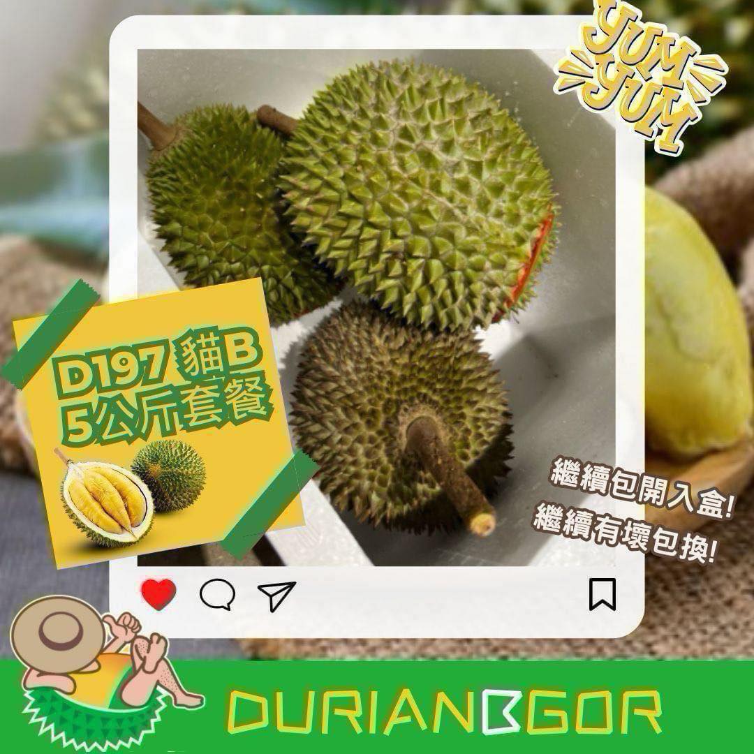 D197 貓山王B果 5公斤 (每箱3至5個)