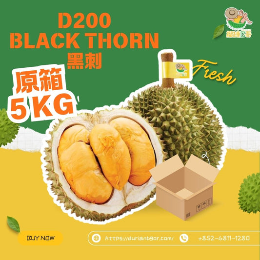 榴槤B哥-馬來西亞直送新鮮原箱D200黑刺 5 KG (需提前一至兩天預訂 )