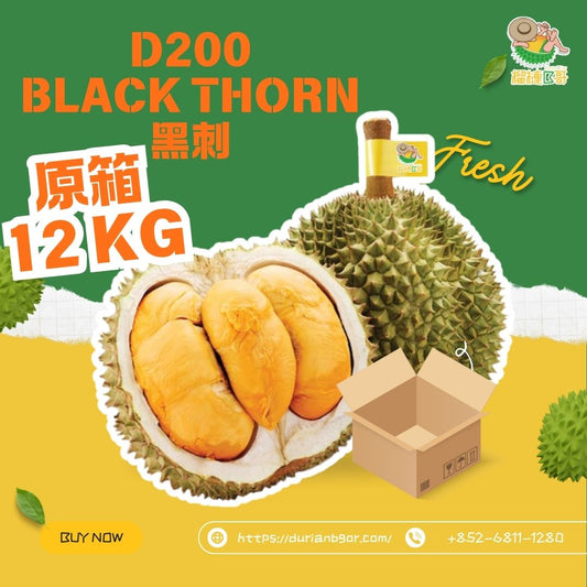 榴槤B哥-馬來西亞直送新鮮原箱D200黑刺 12 KG (需提前一至兩天預訂 )