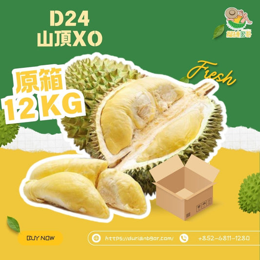 榴槤B哥-馬來西亞直送新鮮原箱D24山頂XO 12 KG (需提前兩天預訂 )