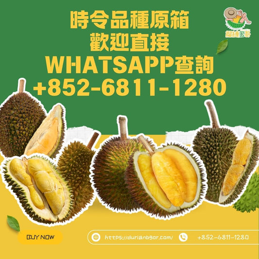 榴槤B哥-時令品種原箱 歡迎直接 WhatsApp查詢